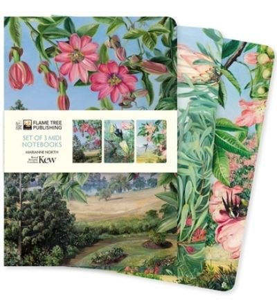 Kew Gardens: Marianne North Set of 3 Midi Notebooks - Midi Notebook Collections - Flame Tree Studio - Books - Flame Tree Publishing - 9781804172209 - October 25, 2022