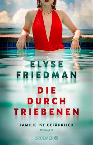 Cover for Elyse Friedman · Die Durchtriebenen (Book) (2024)