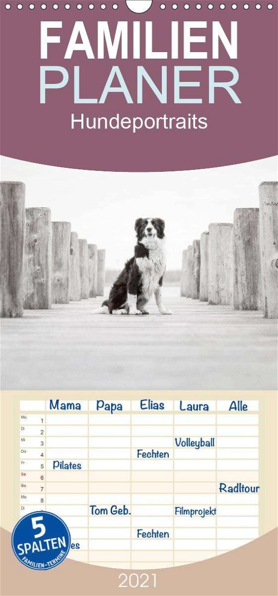 Cover for Pohle · Hundeportraits - Familienplaner h (Bog)