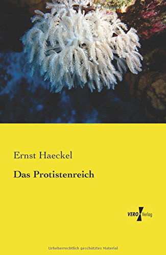 Cover for Ernst Haeckel · Das Protistenreich (Pocketbok) [German edition] (2019)