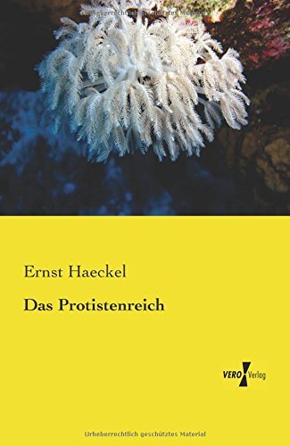 Cover for Ernst Haeckel · Das Protistenreich (Paperback Bog) [German edition] (2019)