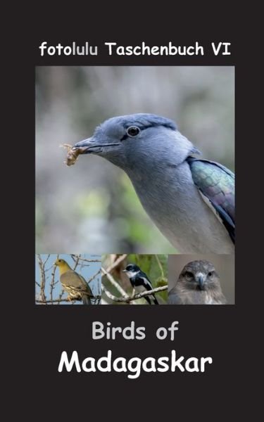 Cover for Fotolulu · Birds of Madagaskar (Bok) (2017)