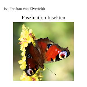 Cover for Isa Freifrau von Elverfeldt · Faszination Insekten (Paperback Book) (2022)
