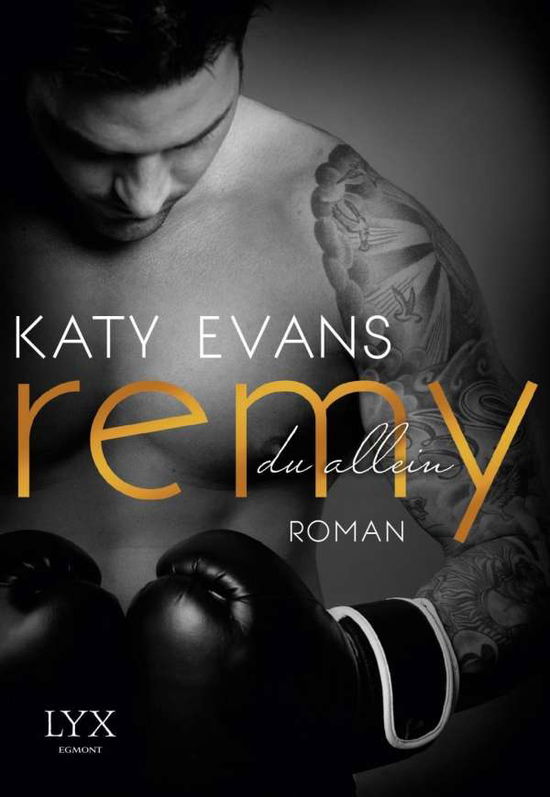 Cover for Evans · Remy - Du allein (Book)