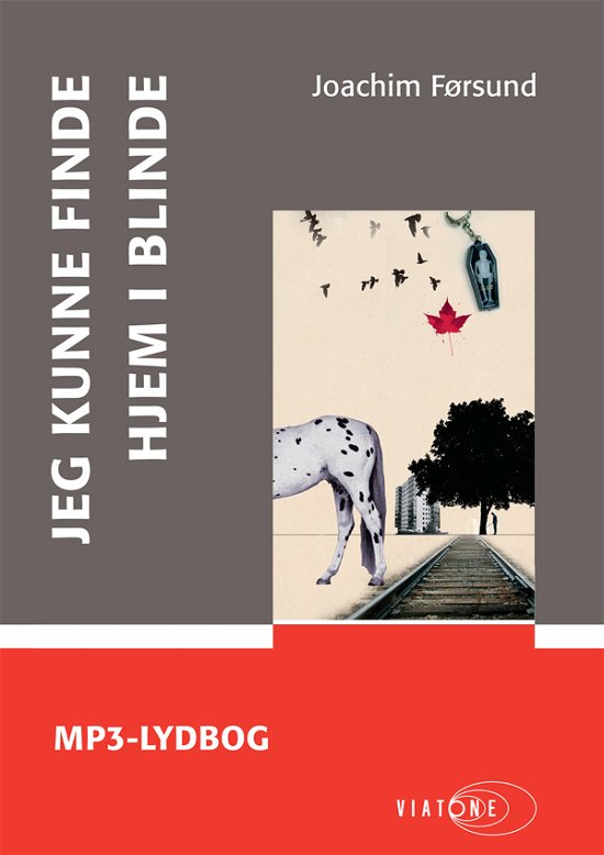 Cover for Joachim Førsund · Jeg kunne finde hjem i blinde (Book) [1. Painos] (2011)