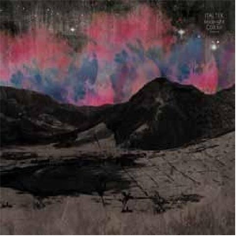 Cover for Ital Tek · Midnight Colour (LP) (2010)