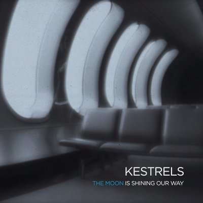 Cover for Kestrels · Moon Is Shining Our Way (LP) [Limited edition] (2015)