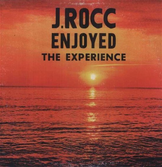 J. Rocc Enjoyed The Experience - J. Rocc - Musikk - NOW AGAIN - 0659457511210 - 19. desember 2013