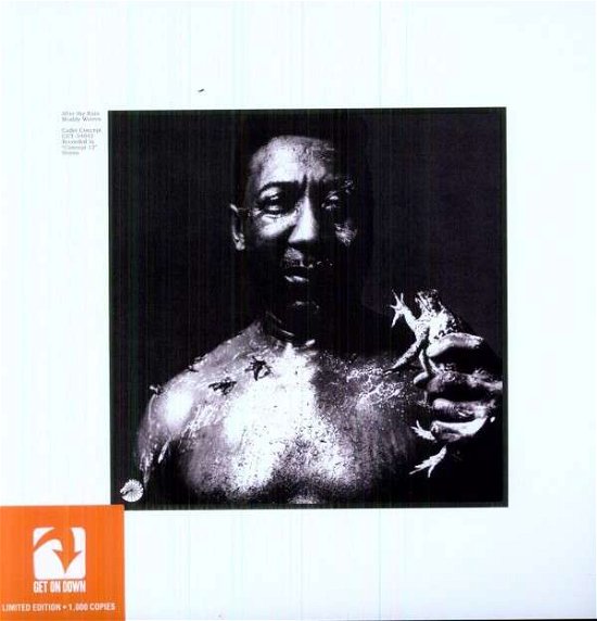 Cover for Muddy Waters · After The Rain (LP) (2021)