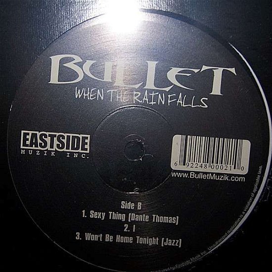 Cover for Bullet · When the Reign Falls (LP) (2006)