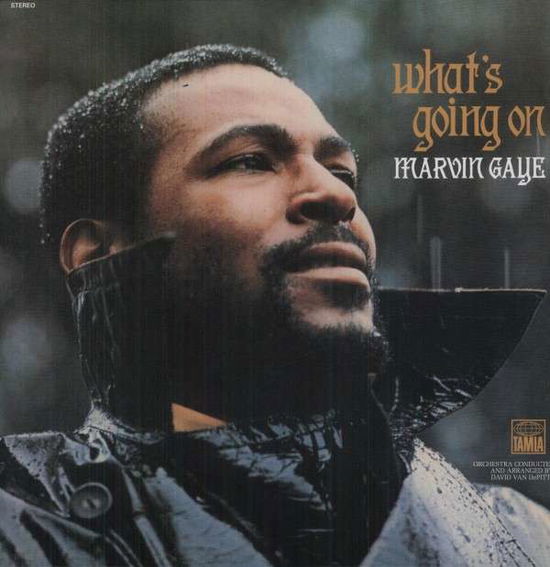 Cover for Marvin Gaye · WhatS Going On (LP) [180 gram, Reissue edition] (2015)