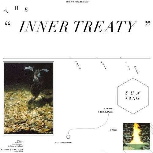 Cover for Sun Araw · The Inner Treaty (LP) [Standard edition] (2012)