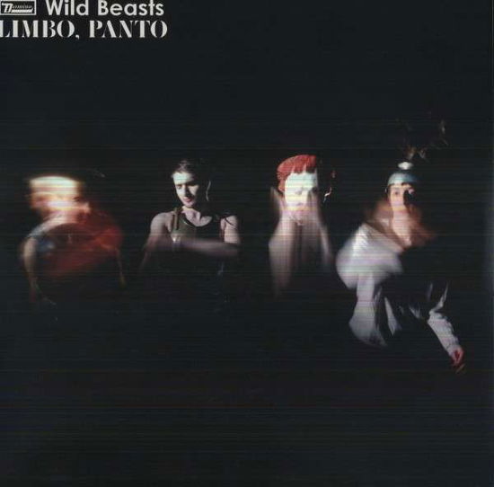 Limbo Panto - Wild Beasts - Música - DOMINO RECORD CO. - 0801390019210 - 4 de novembro de 2008