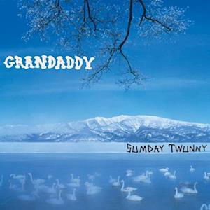 Sumday: Twunny - Grandaddy - Musiikki - DANGERBIRD - 0842803026210 - perjantai 1. syyskuuta 2023