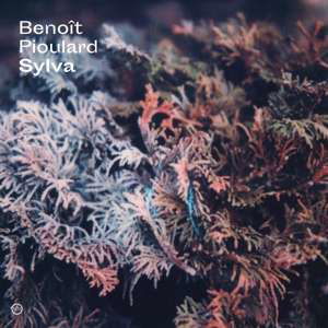 Sylva - Benoit Pioulard - Music - MORR MUSIC - 0880918816210 - January 10, 2023