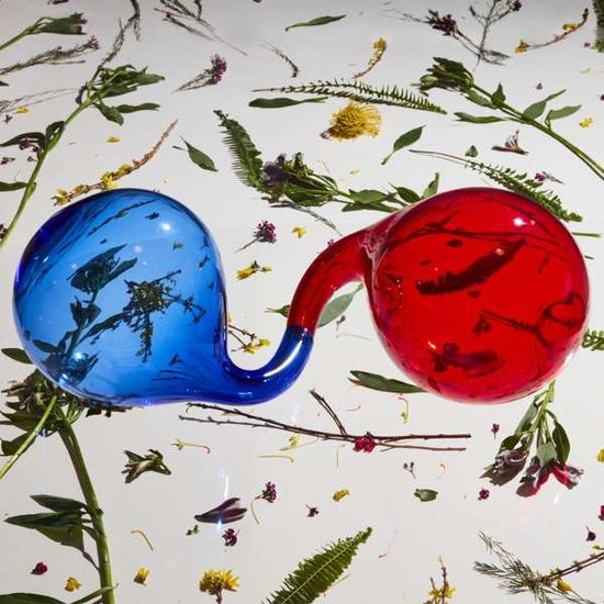 Cover for Dirty Projectors · Lamp Lit Prose (LP) (2018)