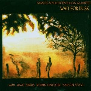 Wait for Dusk - Tassos Quartet Spiliotopoulos - Musik - KONNEXION - 4017867031210 - 7. februar 2006