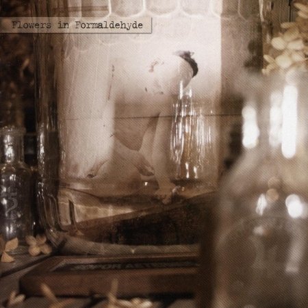 Cover for Sopor Aeternus · Like a Corpse Standing in Desperation 3 (CD) (2008)