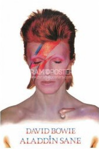 Cover for Poster - Maxi · David Bowie: Aladdin Sane (poster Maxi 61x915 Cm) (Leksaker) (2019)