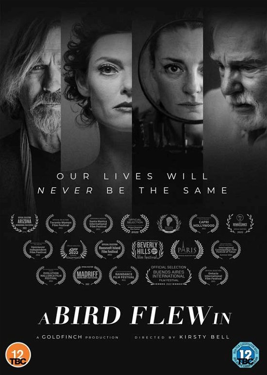 Cover for Kirsty Bell · A Bird Flew In (DVD) (2022)