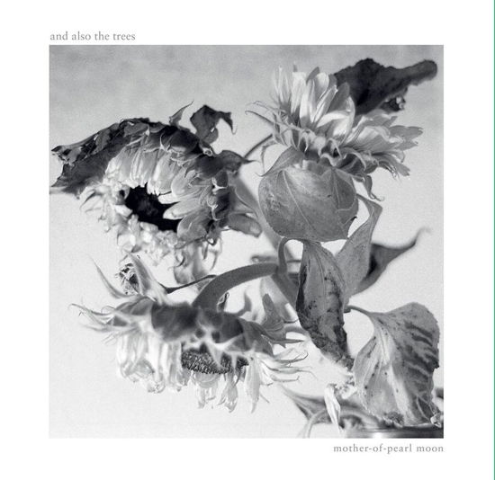 And Also the Trees · Mother-Of-Pearl Moon (LP) (2024)