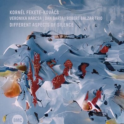 Cover for Kornél Fekete-kovács &amp; Veronika Harcsa  &amp; Dan Bárta · Different Aspects of Silence (CD) (2023)