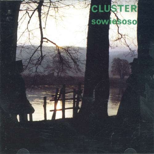 Cover for Cluster · Sowlesoso (CD) (2006)