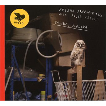 Salika. Molika - Erlend Apneseth Trio & Frode Haltli - Musikk - HUBRO - 7033662026210 - 14. juni 2019