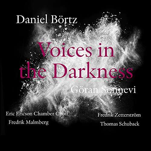 Daniel Bortz: Voices in the Darkness - Bortz / Sonnevi / Malmberg / Zetterstrom - Musique - FOOT - 7320470215210 - 5 mai 2017