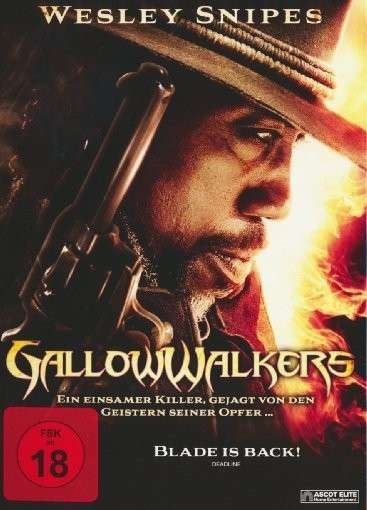 Cover for Gallowwalkers (DVD) (2013)