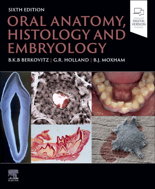 Cover for Berkovitz, Barry K.B, BDS, MSc, PhD, FDSRCS  (Emeritus Reader, Anatomy and Human Sciences, Biomedical and Health Sciences, King's College, London, UK) · Oral Anatomy, Histology and Embryology (Paperback Book) (2024)