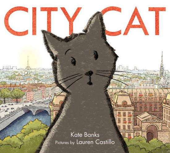 Cover for Kate Banks · City Cat (Hardcover Book) (2013)