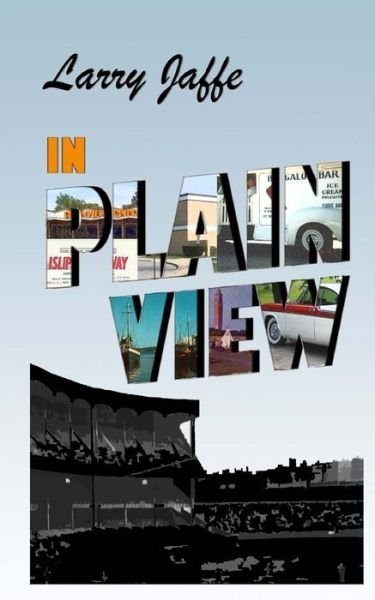 Cover for Larry Jaffe · In Plain View (Taschenbuch) (2014)