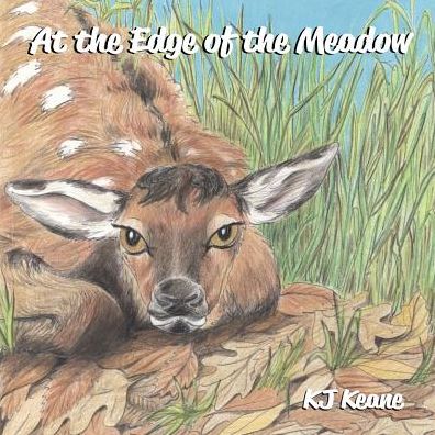 Cover for K J Keane · At the Edge of the Meadow (Paperback Book) (2017)