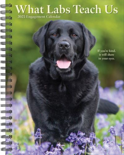 Cover for Willow Creek Press · What Labs Teach Us 2025 6.5 X 8.5 Engagement Calendar (Kalender) (2024)