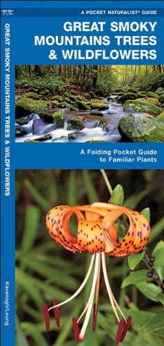 Cover for James Kavanagh · Great Smoky Mountains Trees &amp; Wildflowers: A Folding Pocket Guide to Familiar Plants - Pocket Naturalist Guide Series (Pamphlet) [1st edition] (2018)