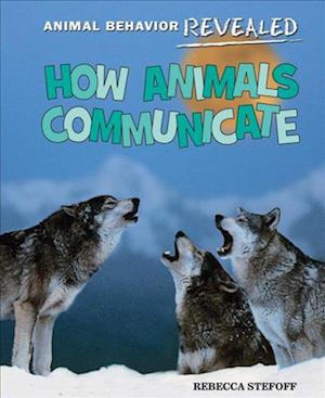 Cover for Rebecca Stefoff · How Animals Communicate (Book) (2013)