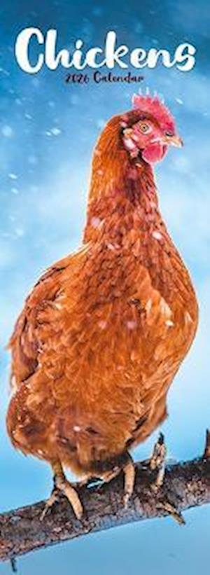 Cover for Chickens Slim Calendar 2026  Bird Slimline Calendar - 12 Month (Calendar) (2025)