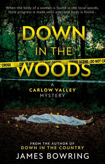 Cover for James Bowring · Down in the Woods: A Carlow Valley Mystery (Pocketbok) (2023)