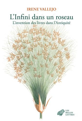 Infini Dans un Roseau - Irene Vallejo - Bøker - Societe d'edition Les Belles lettres - 9782251452210 - 10. september 2021