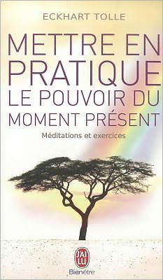Mettre en Pratique Le Pouvoir Du Moment (Bien Etre) (French Edition) - Eckhart Tolle - Bøger - J'Ai Lu - 9782290020210 - 2011