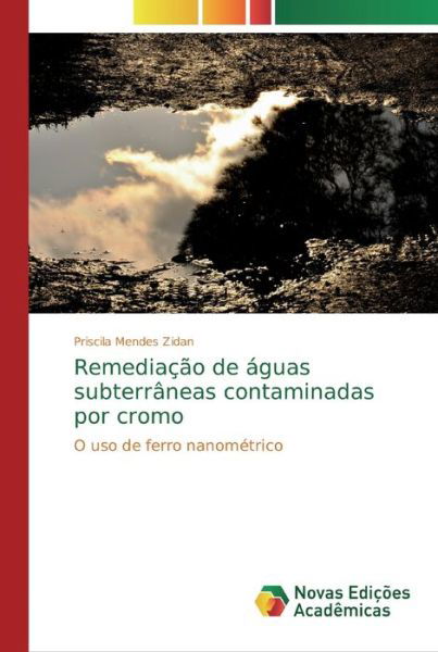 Cover for Priscila Mendes Zidan · Remediacao de aguas subterraneas contaminadas por cromo (Pocketbok) (2019)