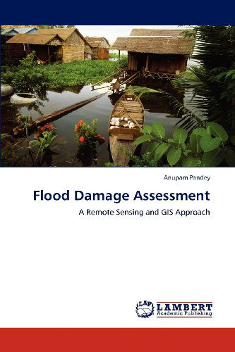 Cover for Anupam Pandey · Flood Damage Assessment: a Remote Sensing and Gis Approach (Pocketbok) (2012)