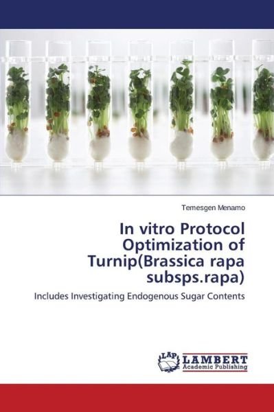 Cover for Temesgen Menamo · In Vitro Protocol Optimization of Turnip (Brassica Rapa Subsps.rapa): Includes Investigating Endogenous Sugar Contents (Paperback Book) (2014)