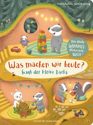 Cover for Constanze von Kitzing · Was machen wir heute?, fragt der kleine Dachs (Book) (2024)