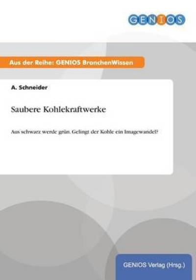 Saubere Kohlekraftwerke - A Schneider - Books - Gbi-Genios Verlag - 9783737948210 - July 15, 2015