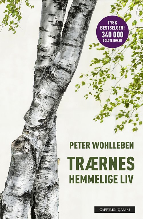 Cover for Peter Wohlleben · Trærnes hemmelige liv (Bound Book) (2016)