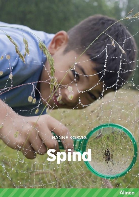 Cover for Hanne Korvig · Fagklub: Spind, Grøn Fagklub (Inbunden Bok) [1:a utgåva] (2022)