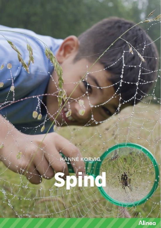 Cover for Hanne Korvig · Fagklub: Spind, Grøn Fagklub (Innbunden bok) [1. utgave] (2022)