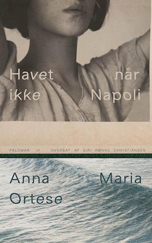 Cover for Anna Maria Ortese · Havet når ikke Napoli (Sewn Spine Book) [1st edition] (2023)